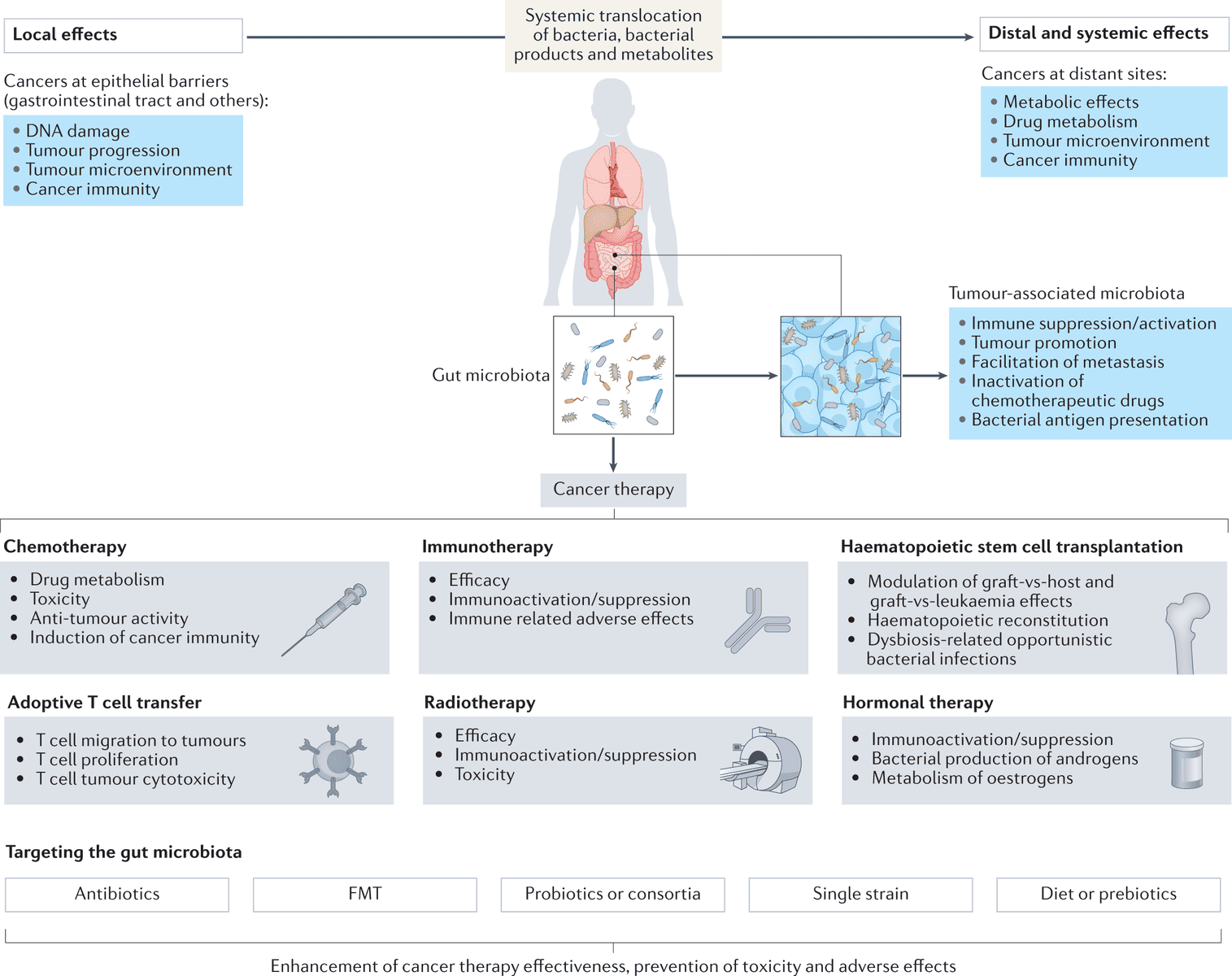 Targeting the Gut Microbiome for Therapeutic Interventions