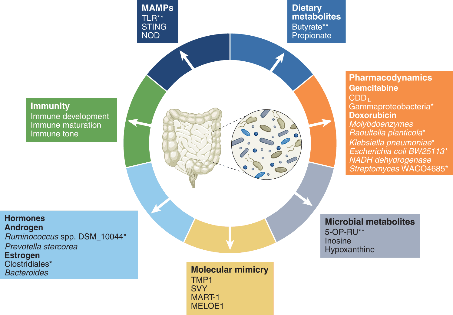 Targeting the Gut Microbiome for Therapeutic Interventions