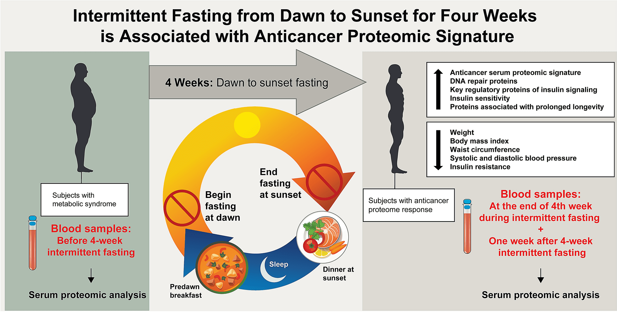 Exploring the Positive Effects of Intermittent Fasting